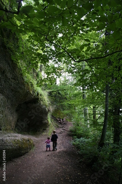 Obraz découverte de la nature
