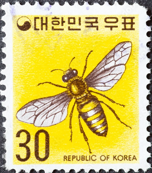 Fototapeta KOREA, SOUTH - CIRCA 1974 : a postage stamp from KOREA, SOUTH, showing a European Honey Bee (Apis mellifera) . Circa 1974
