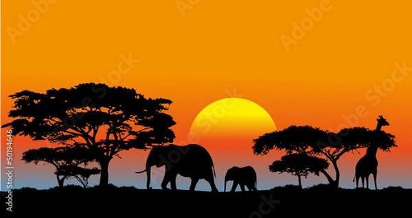 Obraz Afrykańska sawanna