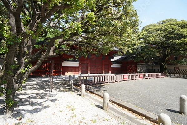 Obraz 東京大学赤門