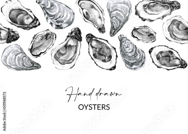 Obraz Border with hand drawn oysters