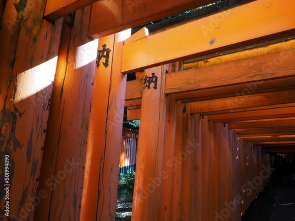 Fototapeta 伏見稲荷大社の鳥居