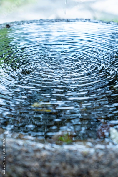 Obraz 東京都江東区　清澄庭園　日本庭園の水瓶