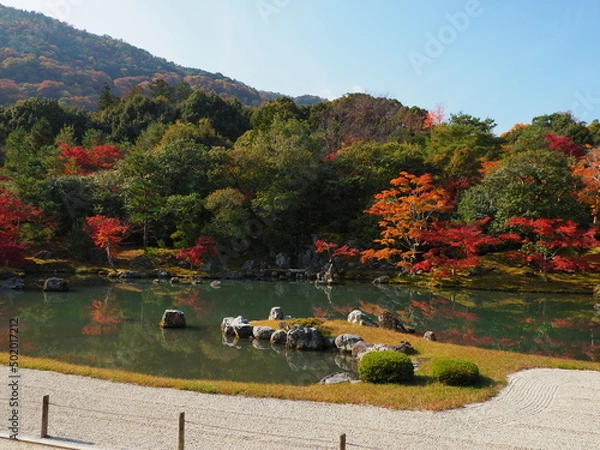 Obraz 庭園の紅葉