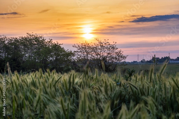Obraz Spring Landscape and colorful sunrise with beautiful sky.