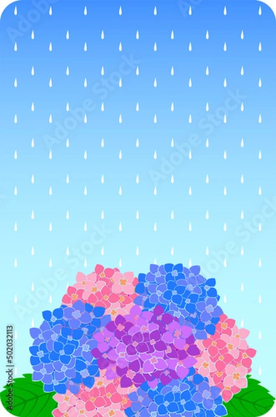 Fototapeta 雨の降る背景と紫陽花の花のイラスト