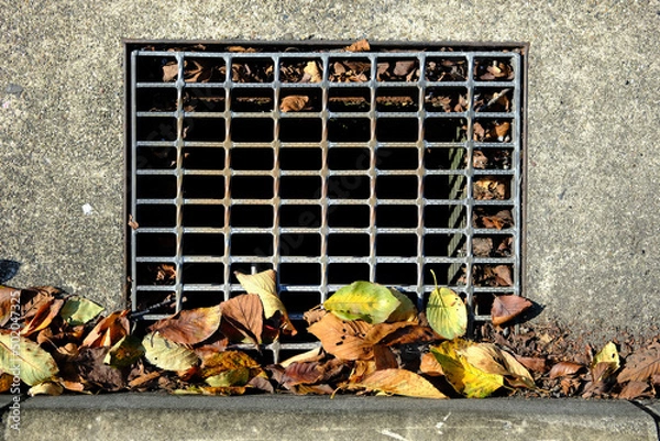 Fototapeta 古い排水溝