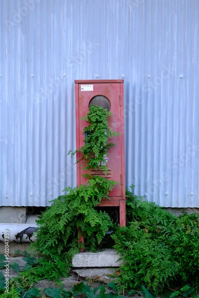 Fototapeta 緑化した消火器