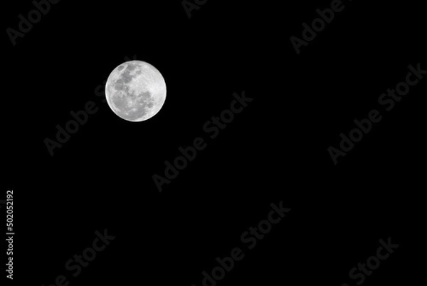 Fototapeta Close up full moon on the Black sky