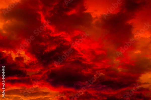 Obraz Red clouds in the sky. Summer sunset. Background