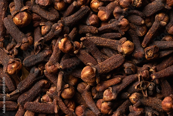Fototapeta Drieyd Aromatic cloves, spice. Macro photo, background.