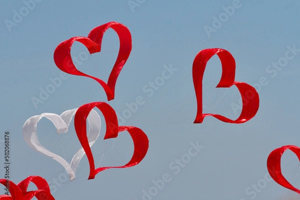 Obraz Aquiloni Cuori