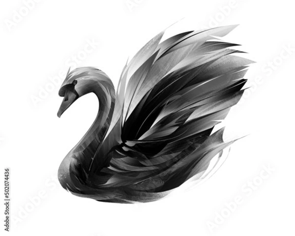 Fototapeta painted bird black swan on a white background