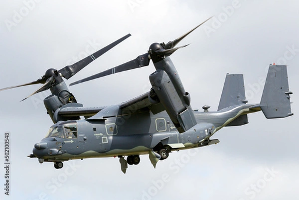 Obraz Osprey landet / Senkrecht 