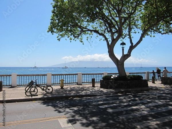 Fototapeta View of the sea from the shadow of a tree at Lahaina, Maui, Hawaii. Lanai island beneath clouds in the background. Sidewalk with iron fences, asphalt road, crosswalk, blue sea, clear blue sky.
