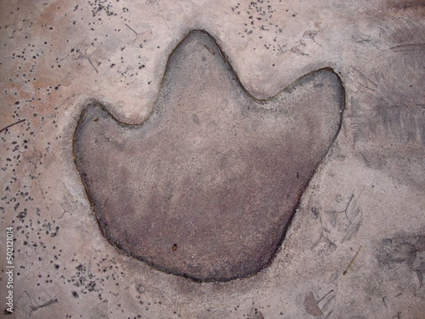 Obraz Dinosaur Footprint