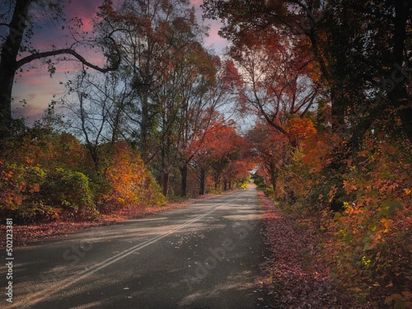 Obraz Road in autumn