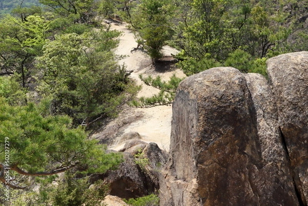 Fototapeta 湖南アルプス堂山の登山道の風景