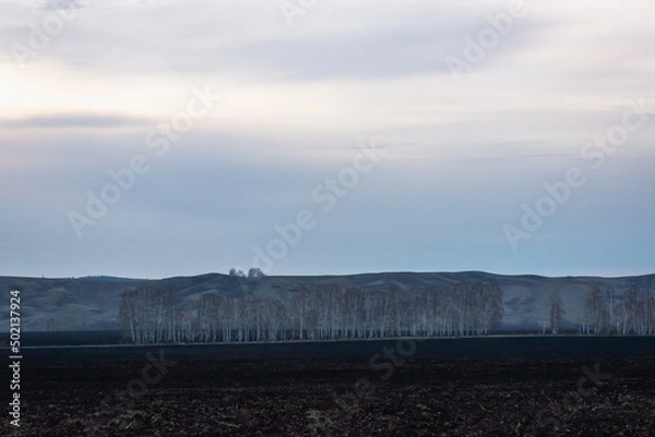 Fototapeta Gray nature in early spring after the snow has melted.