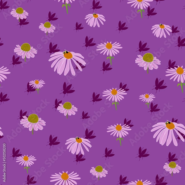 Fototapeta Echinacea flowers seamless vector pattern on purple