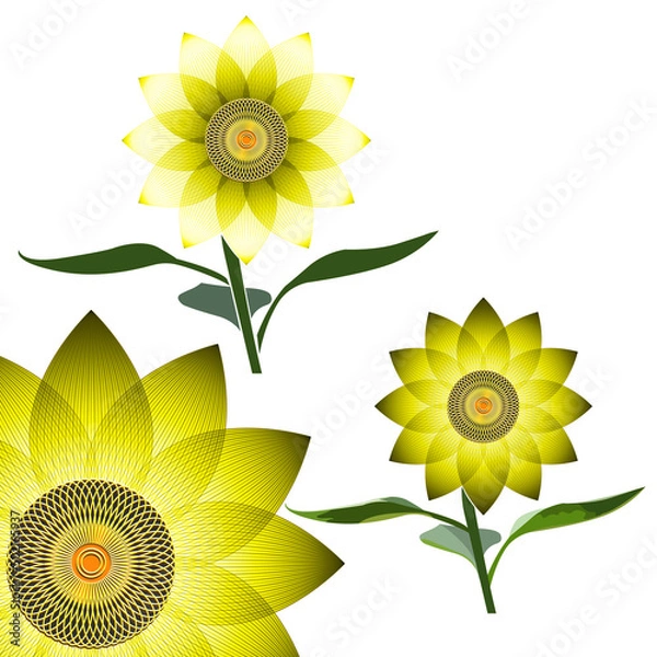 Fototapeta Variants of sunflower flowers with stem and leaves, icons
