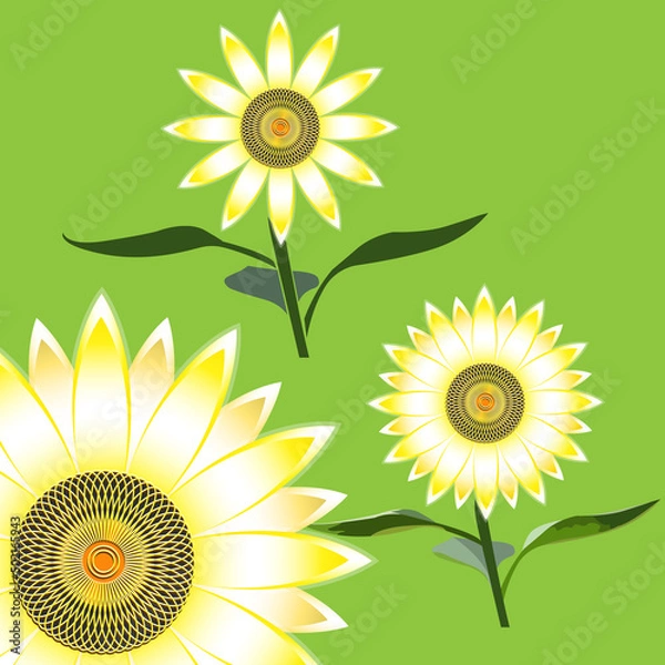 Fototapeta Variants of sunflower flowers with stem and leaves on a green background with 3D effect, icons