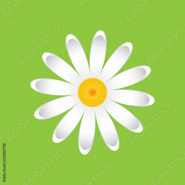 Fototapeta The chamomile flower. Single flower white daisies made of simple geometric shapes on a green background, icon