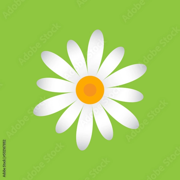 Fototapeta White chamomile with petals of different sizes. Single flower white daisies, geometric pattern on a green background, icon.