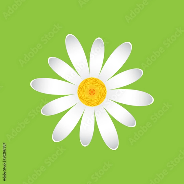 Fototapeta White chamomile with petals of different sizes, volume effect. Single flower white daisies made of simple geometric shapes on a green background, icon.