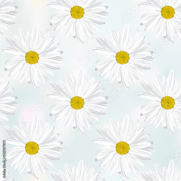 Fototapeta The chamomile flower. Seamless floral texture white of Daisy flower on abstract grey background,geometric pattern