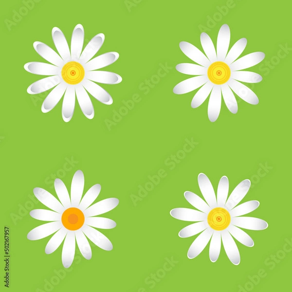 Fototapeta The chamomile flowers. Set single flower 
of white daisies made of simple geometric shapes on a green background, icon