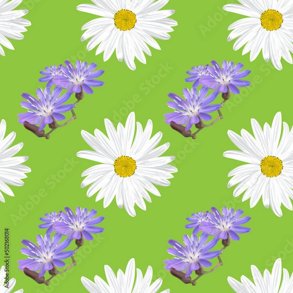 Fototapeta The chamomile flower. Seamless floral texture white of Daisy flower and blue wildflowers on a green background,geometric pattern