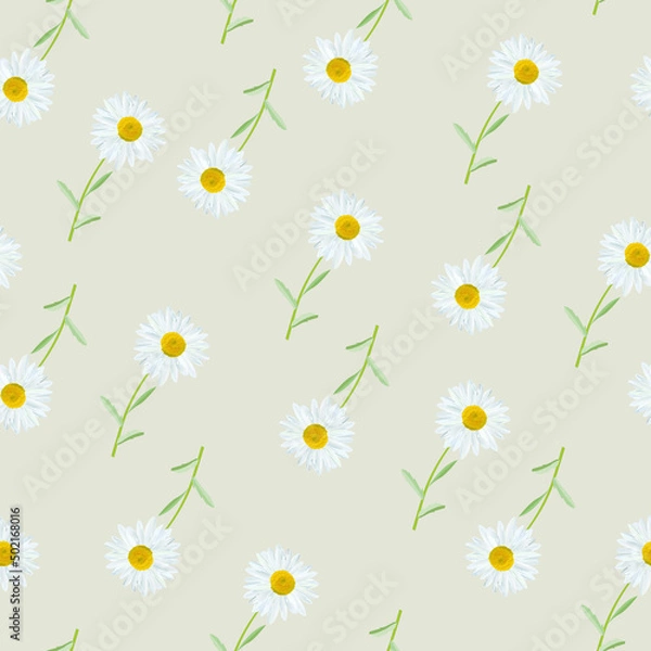 Fototapeta The chamomile flower. Seamless floral texture white of Daisy flower on grey background, floral pattern