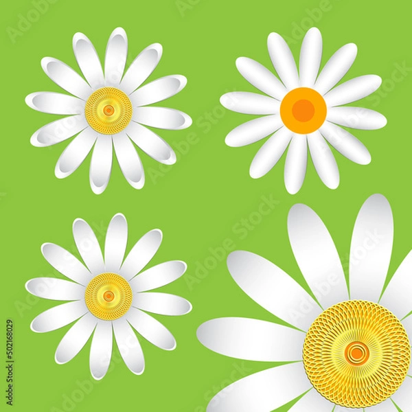 Fototapeta The geometric chamomile flowers. Set single flower 
of white daisies made of simple geometric shapes on a green background, 3d effect, icon