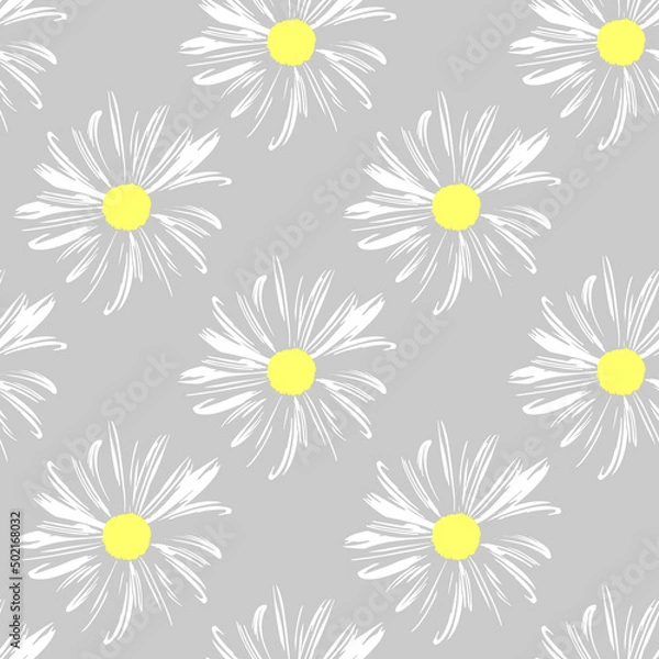 Fototapeta Chamomile flowers. White Daisy petals, flower arrangement on grey background, seamless texture