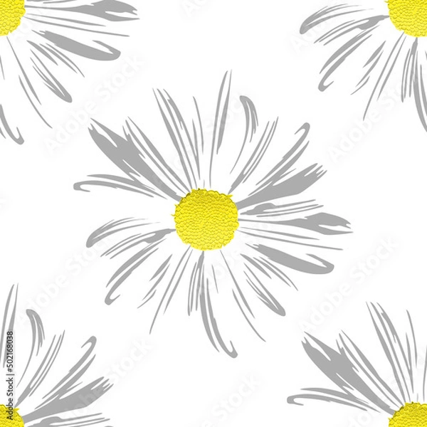 Fototapeta Chamomile flowers. White Daisy petals, flower arrangement on white background, seamless texture, raster illustration