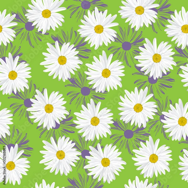 Fototapeta The chamomile flower. Seamless floral texture white of Daisy flower on a green background in a random arrangement square format