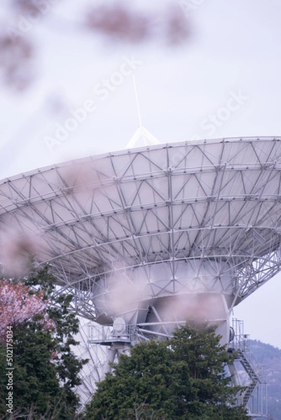 Obraz さくらの木々に囲まれたアンテナ