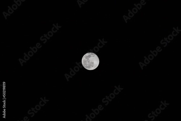 Fototapeta 満月