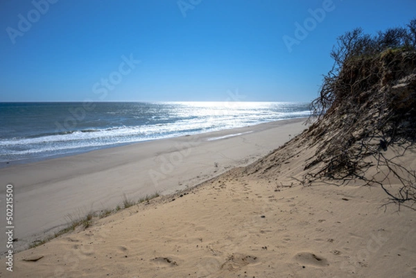 Obraz Cape Cod in springtime Ballstoom beach North Truro