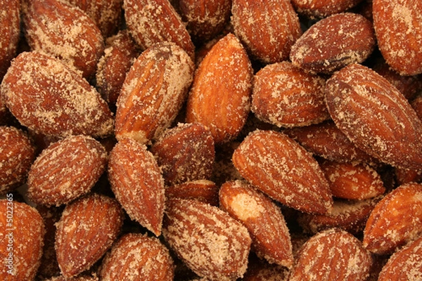 Obraz Roasted Almonds Background Texture
