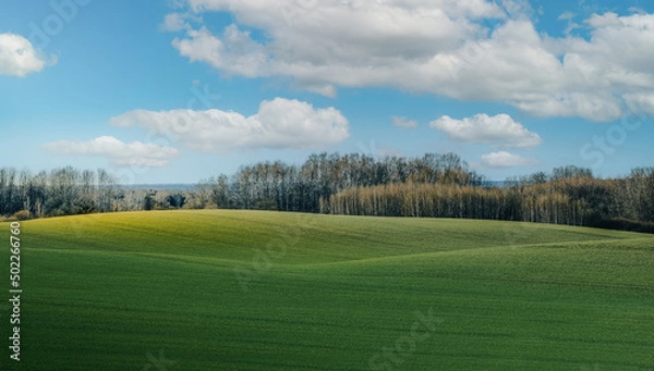 Obraz landscape with grass and sky