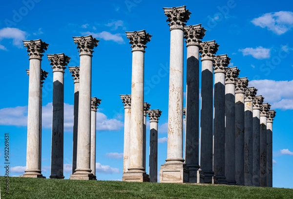 Obraz U.S. National Arboretum Columns