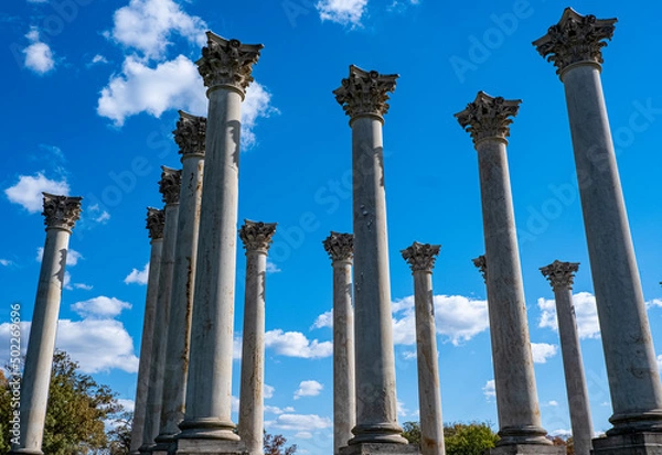 Obraz U.S. National Arboretum Columns