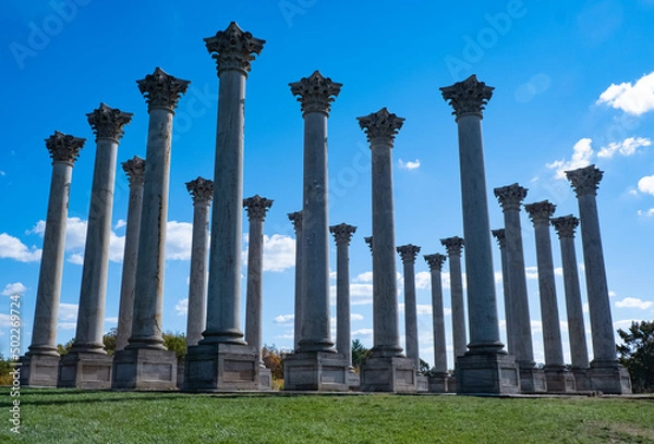 Obraz U.S. National Arboretum Columns
