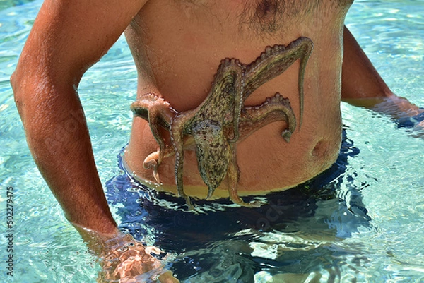 Obraz An octopus on a man's body