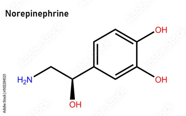 Fototapeta Norepinephrine, also called noradrenaline or noradrenalin, is an organic chemical in the catecholamine family that functions in the brain and body as both a hormone and neurotransmitter.