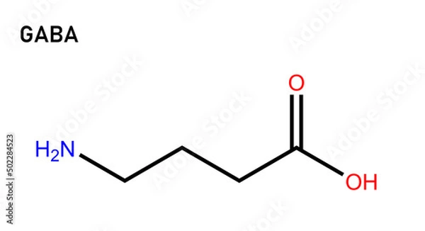 Fototapeta Gamma-aminobutyric acid (GABA) is a neurotransmitter that blocks impulses between nerve cells in the brain.