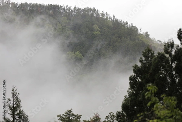 Obraz foggy mountain