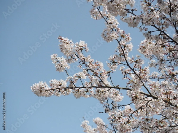 Obraz OLYMPUS DIGITAL CAMERA